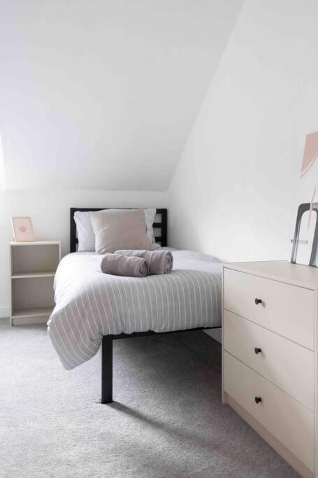 Charming 3 Bedroom Belfast Townhouse מראה חיצוני תמונה